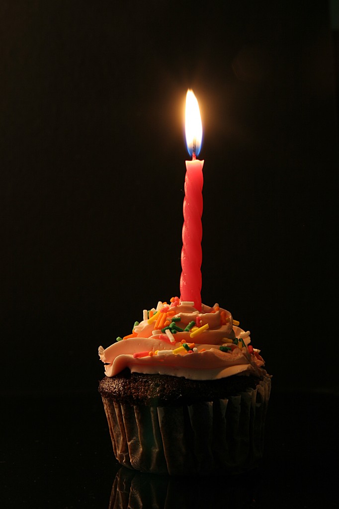 Happy birthday, Oreo!