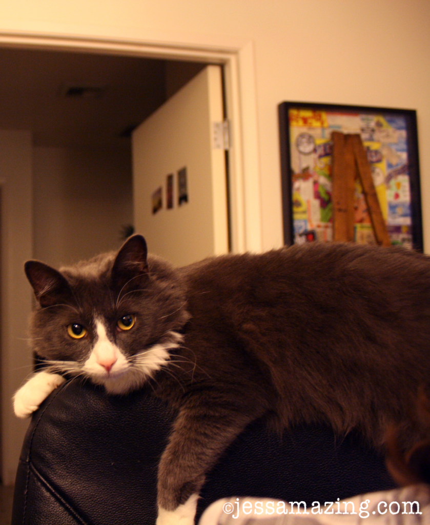 FINNEGAN!